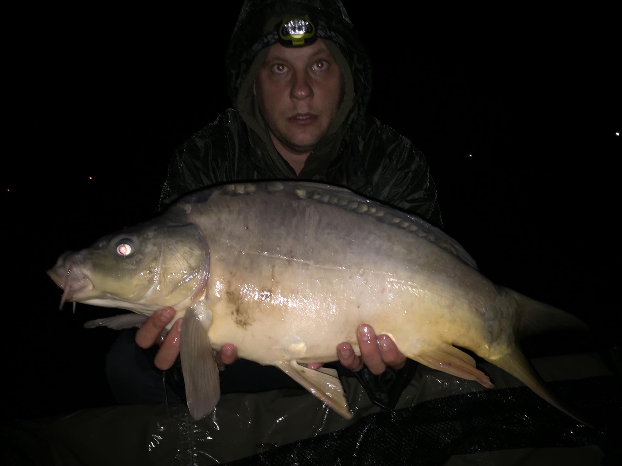 2015 - image11111.jpg